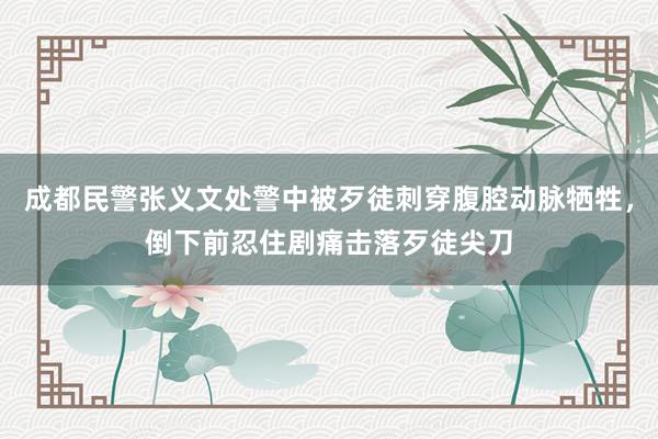 成都民警张义文处警中被歹徒刺穿腹腔动脉牺牲，倒下前忍住剧痛击落歹徒尖刀