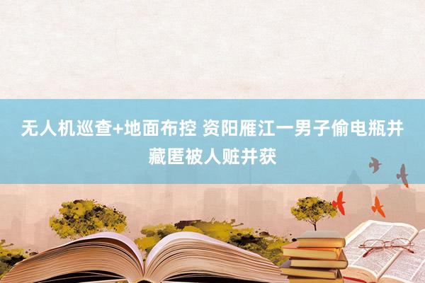 无人机巡查+地面布控 资阳雁江一男子偷电瓶并藏匿被人赃并获