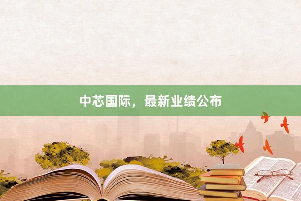 中芯国际，最新业绩公布