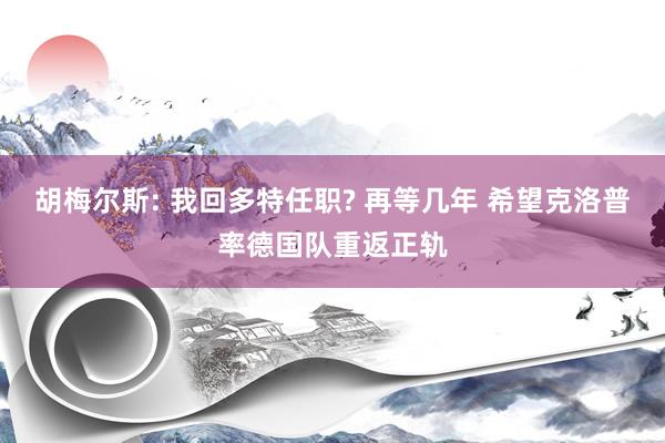 胡梅尔斯: 我回多特任职? 再等几年 希望克洛普率德国队重返正轨