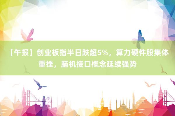 【午报】创业板指半日跌超5%，算力硬件股集体重挫，脑机接口概念延续强势