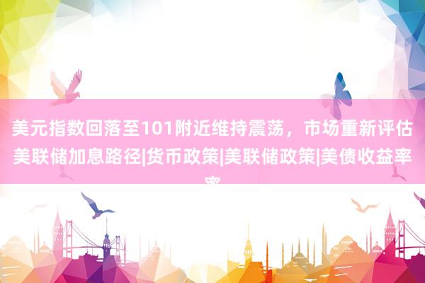 美元指数回落至101附近维持震荡，市场重新评估美联储加息路径|货币政策|美联储政策|美债收益率