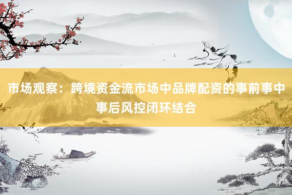 市场观察：跨境资金流市场中品牌配资的事前事中事后风控闭环结合