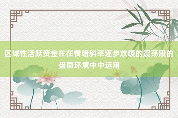 区域性活跃资金在在情绪斜率逐步放缓的震荡段的盘面环境中中运用