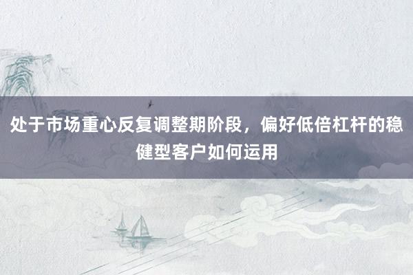 处于市场重心反复调整期阶段，偏好低倍杠杆的稳健型客户如何运用