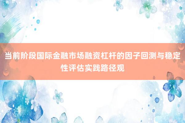 当前阶段国际金融市场融资杠杆的因子回测与稳定性评估实践路径观