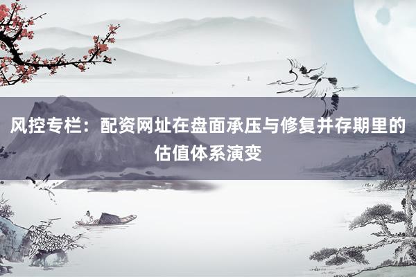 风控专栏：配资网址在盘面承压与修复并存期里的估值体系演变