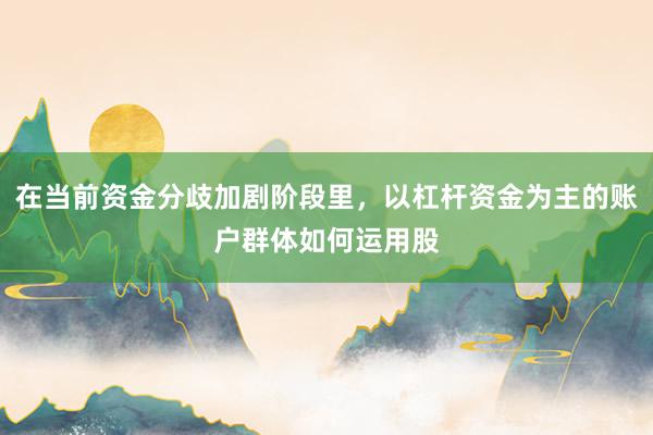 在当前资金分歧加剧阶段里，以杠杆资金为主的账户群体如何运用股
