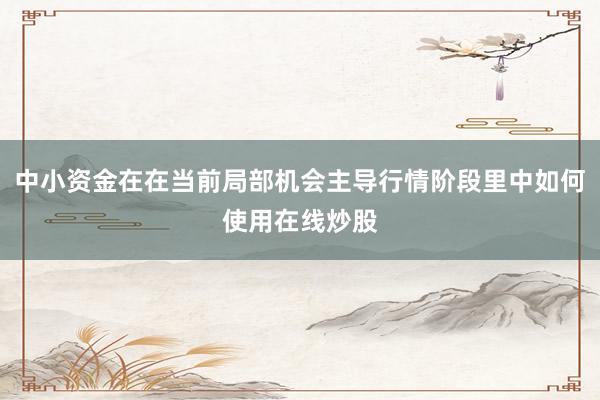 中小资金在在当前局部机会主导行情阶段里中如何使用在线炒股