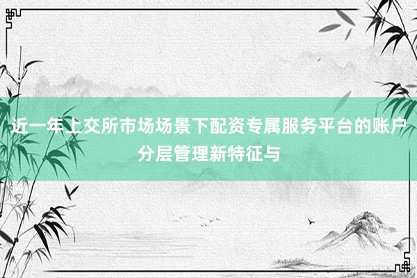 近一年上交所市场场景下配资专属服务平台的账户分层管理新特征与