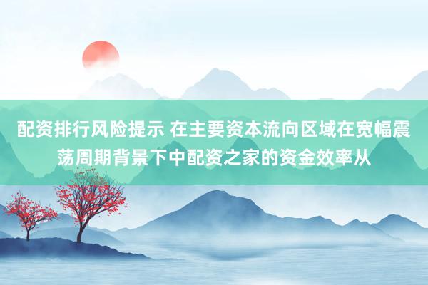 配资排行风险提示 在主要资本流向区域在宽幅震荡周期背景下中配资之家的资金效率从