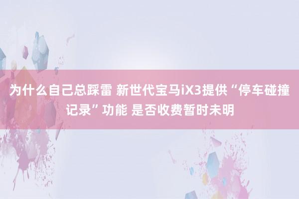 为什么自己总踩雷 新世代宝马iX3提供“停车碰撞记录”功能 是否收费暂时未明