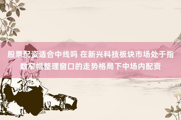 股票配资适合中线吗 在新兴科技板块市场处于指数窄幅整理窗口的走势格局下中场内配资