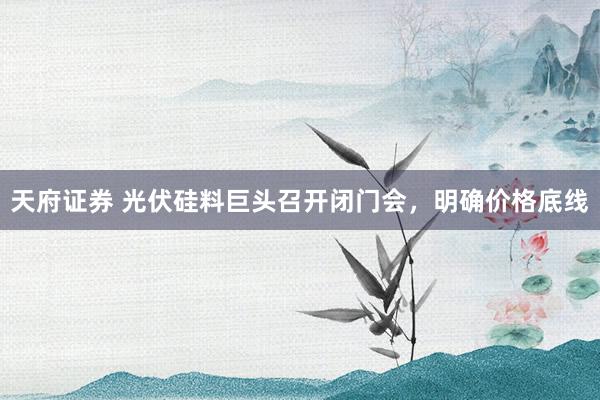天府证券 光伏硅料巨头召开闭门会，明确价格底线
