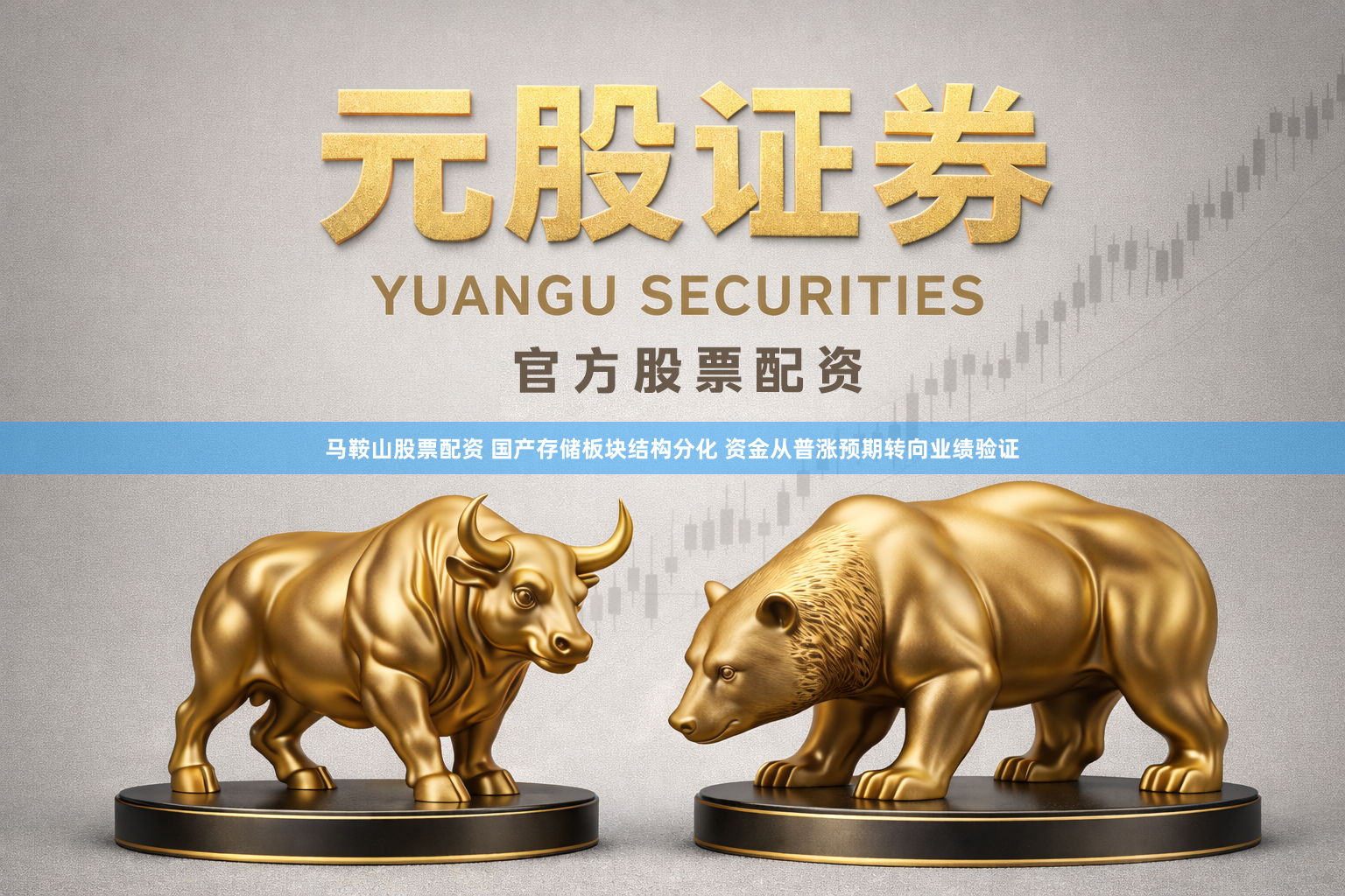 马鞍山股票配资 国产存储板块结构分化 资金从普涨预期转向业绩验证
