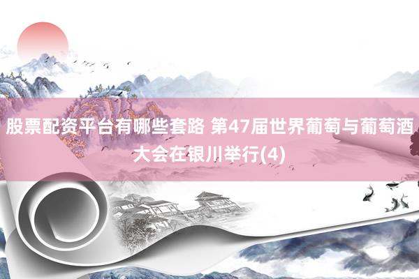 股票配资平台有哪些套路 第47届世界葡萄与葡萄酒大会在银川举行(4)
