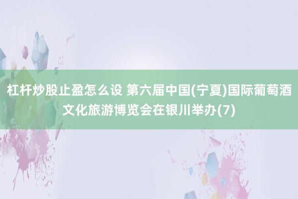 杠杆炒股止盈怎么设 第六届中国(宁夏)国际葡萄酒文化旅游博览会在银川举办(7)