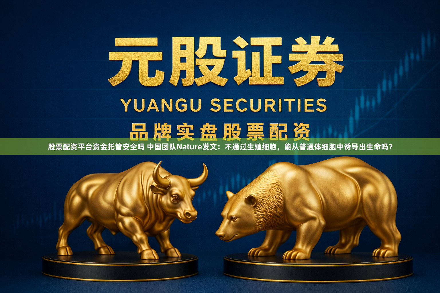 股票配资平台资金托管安全吗 中国团队Nature发文：不通过生殖细胞，能从普通体细胞中诱导出生命吗？