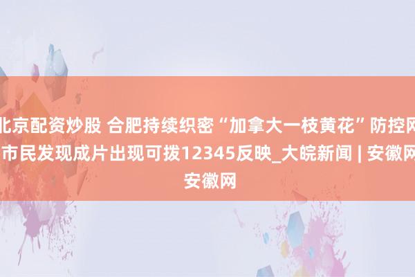 北京配资炒股 合肥持续织密“加拿大一枝黄花”防控网 市民发现成片出现可拨12345反映_大皖新闻 | 安徽网